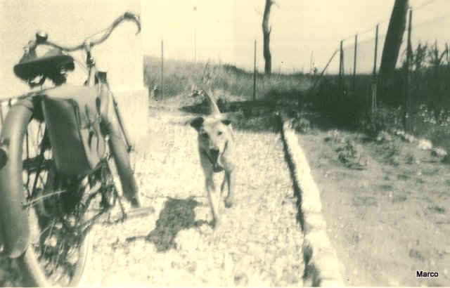 Marco au Palyvestre dans le Var 1956